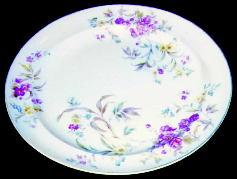 CAN60 Dinner Plate by Canonsburg-1