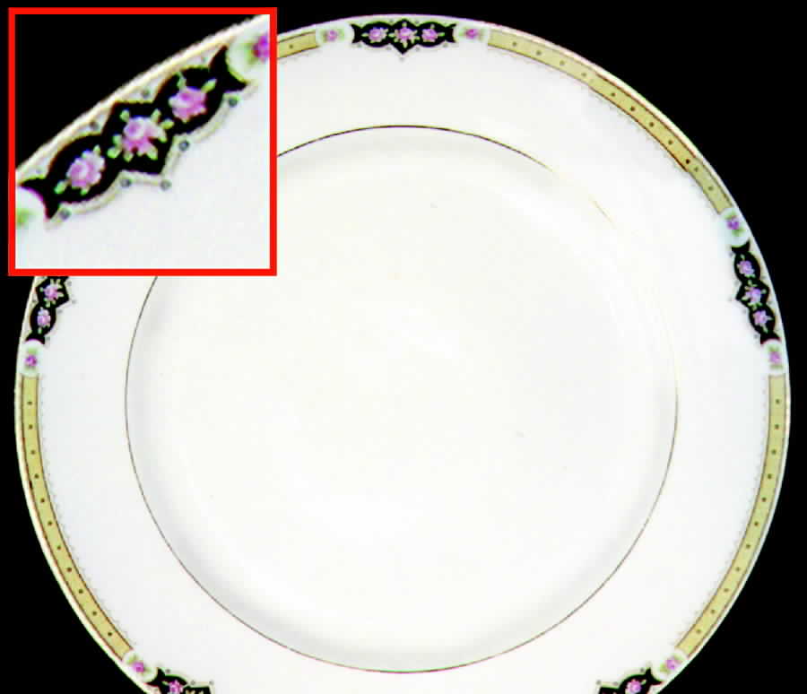 CAN65 Dinner Plate by Canonsburg-1