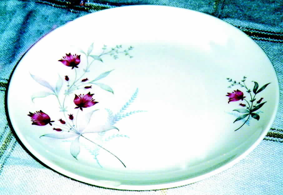 CAN249 Dinner Plate by Canonsburg-1