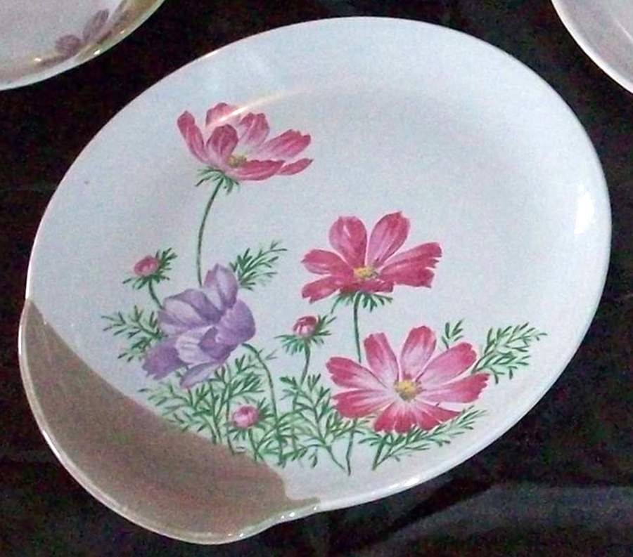 Cosmos Dinner Plate by Canonsburg-1