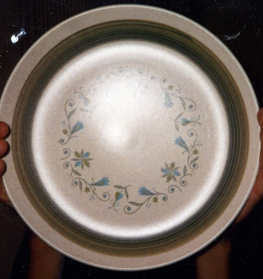 Florence Dinner Plate by Canonsburg-1