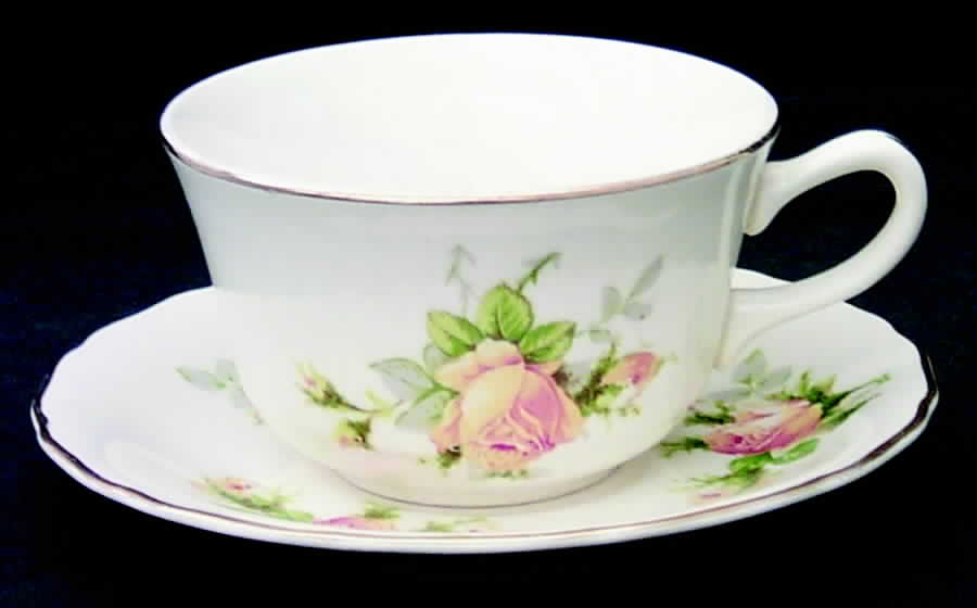 Golden Era Flat Cup & Saucer Set by Canonsburg-1