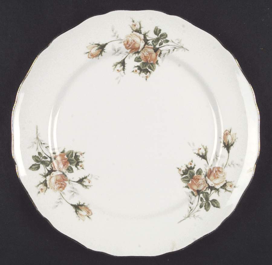 Golden Era Dinner Plate by Canonsburg-1
