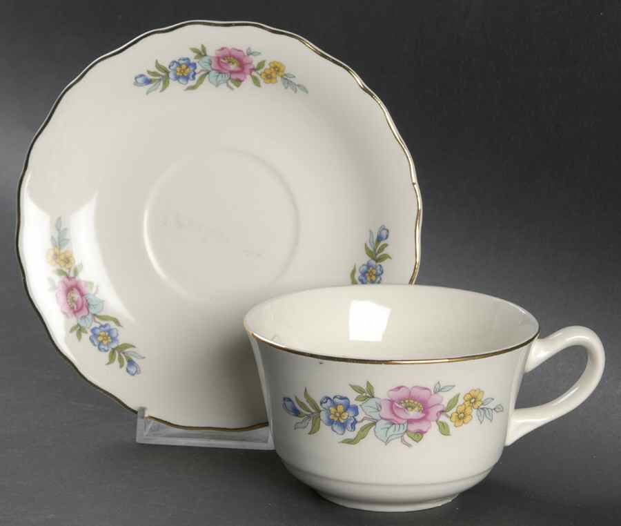 Indian Rose Flat Cup & Saucer Set by Canonsburg-1