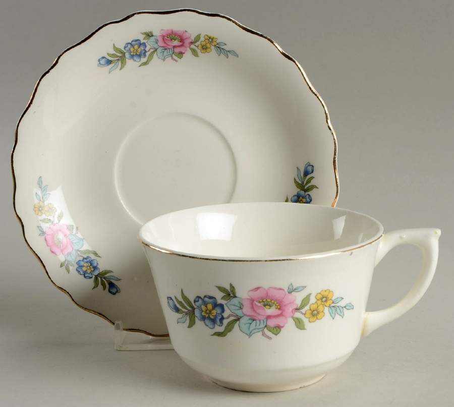 Indian Rose Flat Cup & Saucer Set by Canonsburg-1