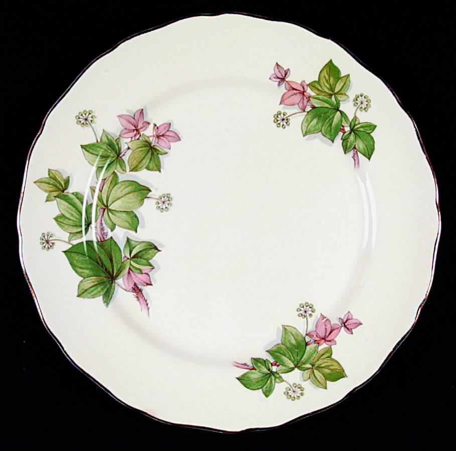 Ivy Dinner Plate by Canonsburg-1