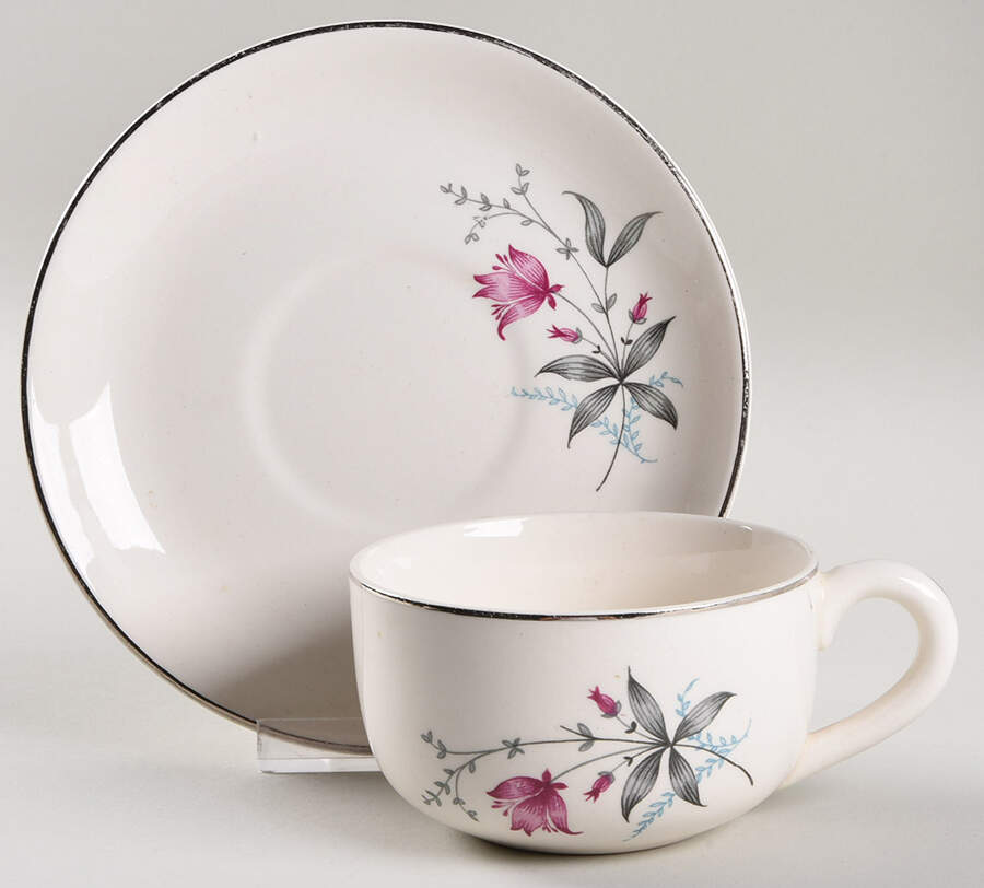 Larkspur Flat Cup & Saucer Set by Canonsburg-1