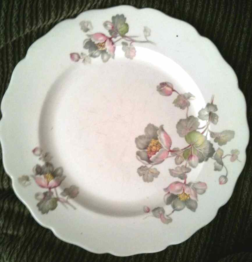 Lotus Dinner Plate by Canonsburg-1
