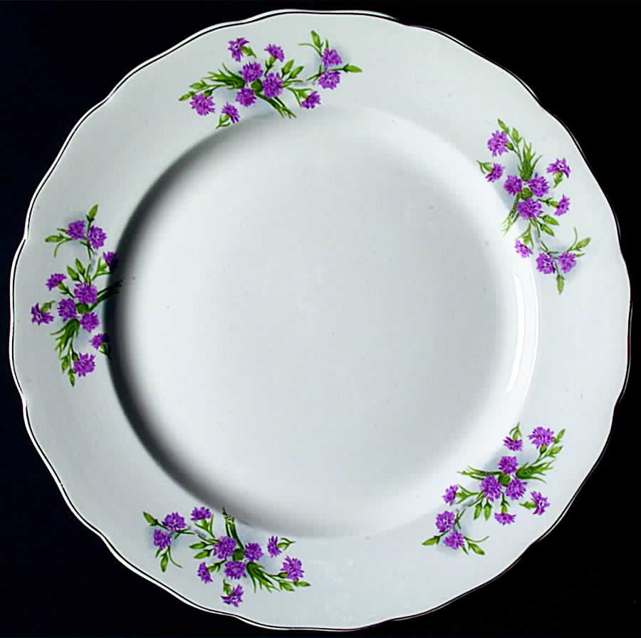 Meadow Flower Dinner Plate by Canonsburg-1