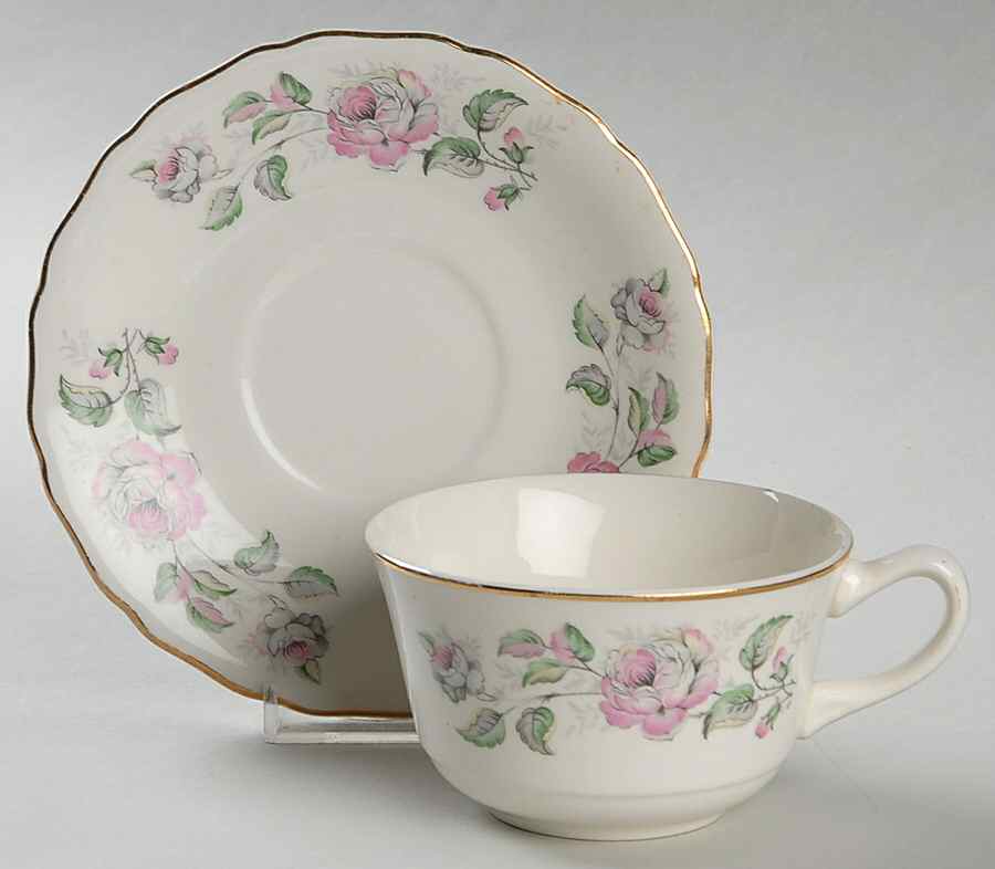 Queen's Rose Flat Cup & Saucer Set by Canonsburg-1