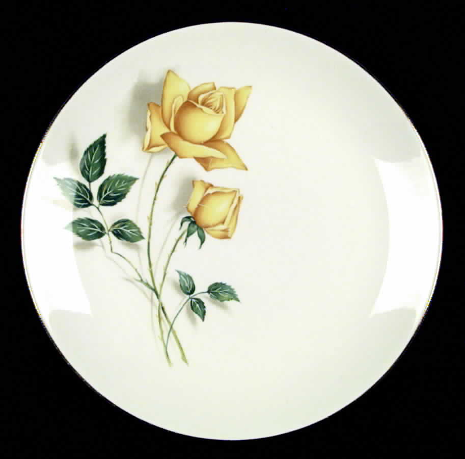 Temptation Dinner Plate by Canonsburg-1