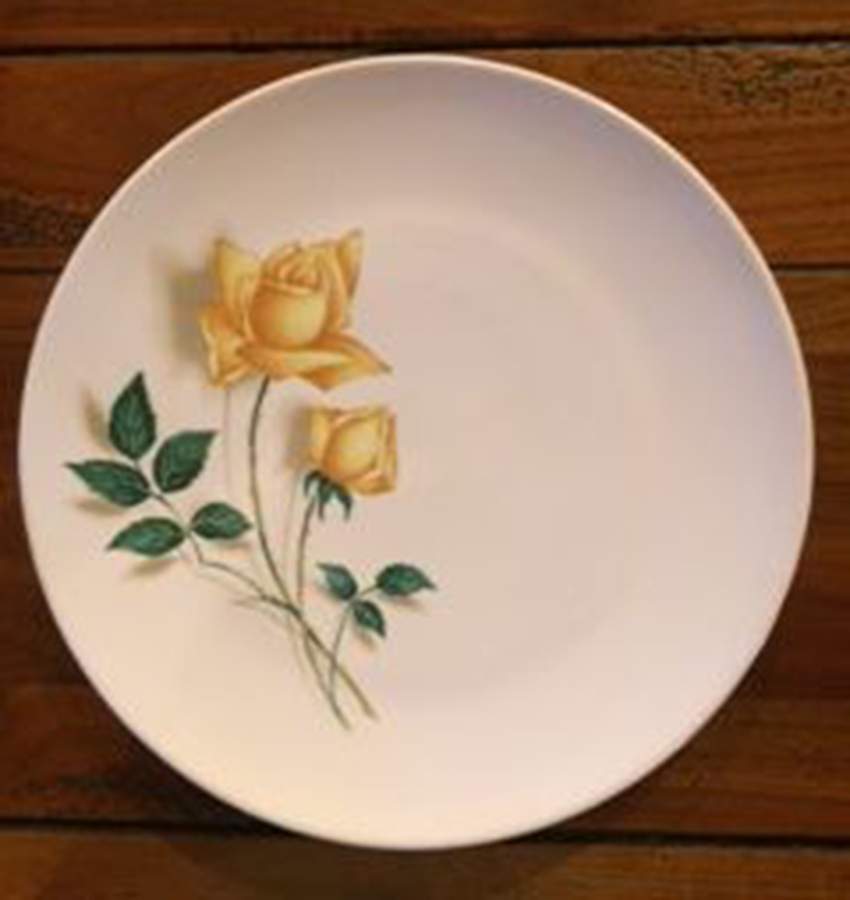 Temptation Dinner Plate by Canonsburg-1