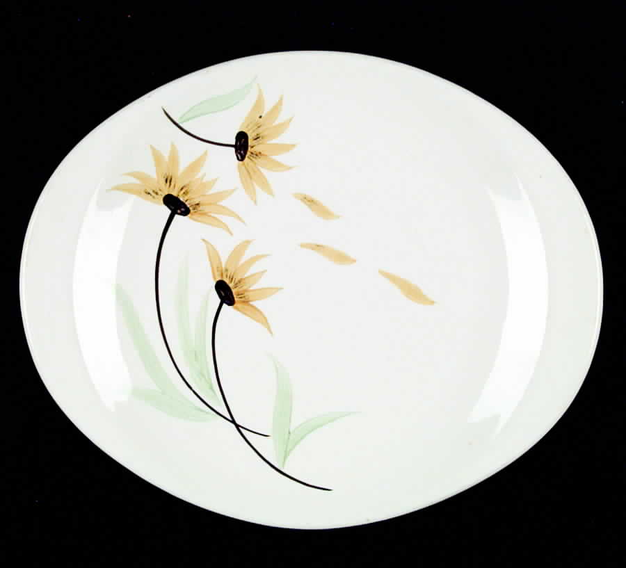 Wind Blown 14" Oval Serving Platter by Canonsburg-1