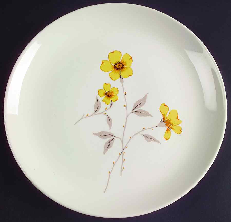 Wild Rose Dinner Plate by Canonsburg-1