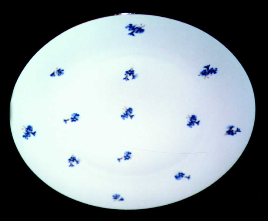 Allegro Dinner Plate by Carlsbad-1