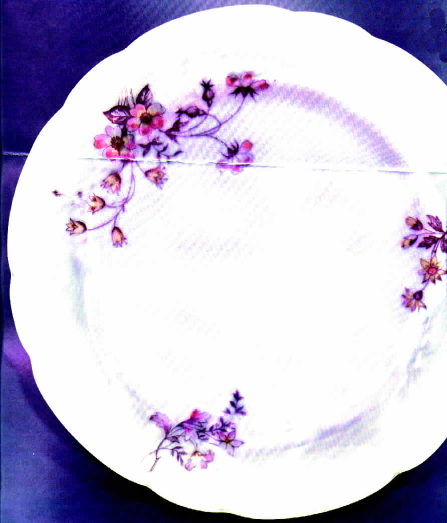 CAR28 Dinner Plate by Carlsbad-1