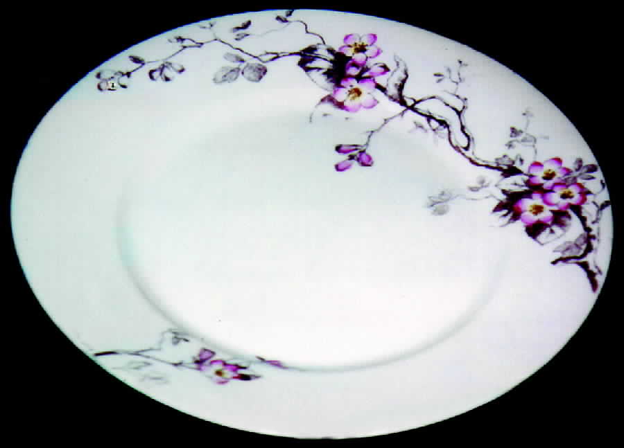 CAR38 Dinner Plate by Carlsbad-1