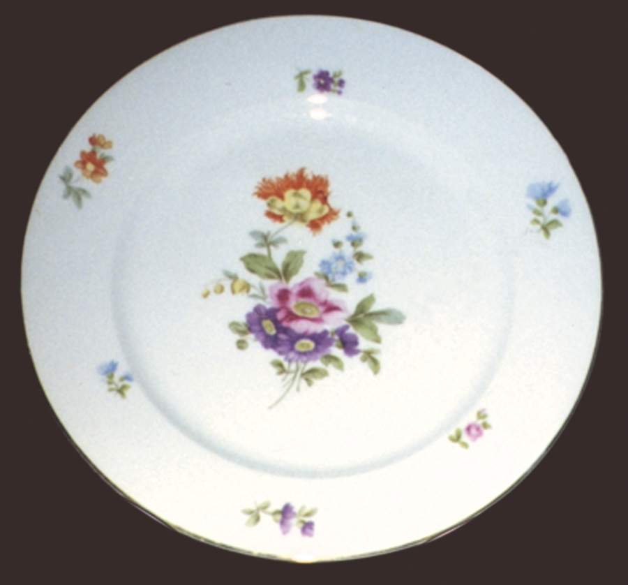 CBA3 Dinner Plate by Crown Bavaria-1