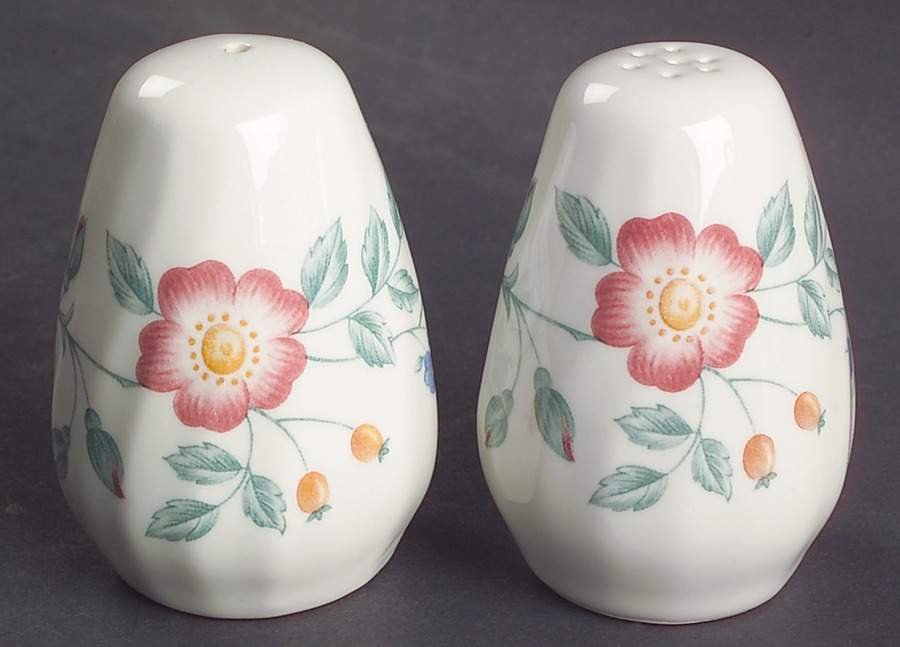 Briar Rose Salt & Pepper Set by Churchill-1