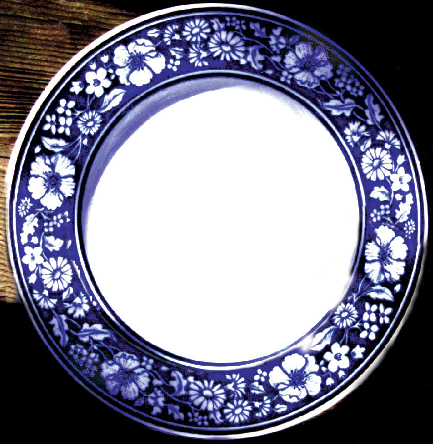 CCH3 Dinner Plate by Churchill-1