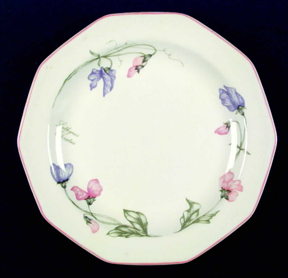 Secret Garden Dinner Plate by Churchill-1