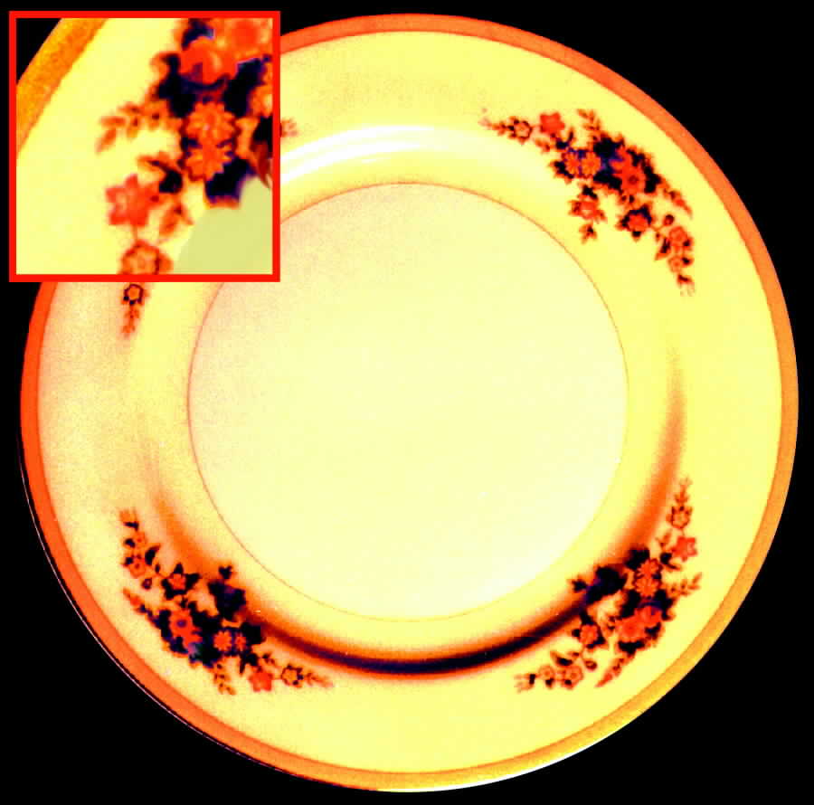CEB22 Dinner Plate by Celebrate-1