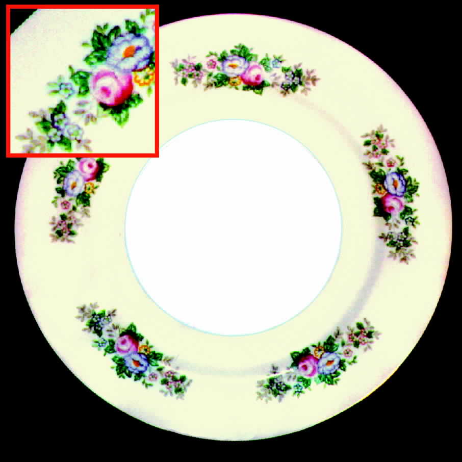 CEB23 Dinner Plate by Celebrate-1