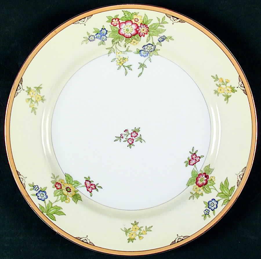 CEB24 Dinner Plate by Celebrate-1