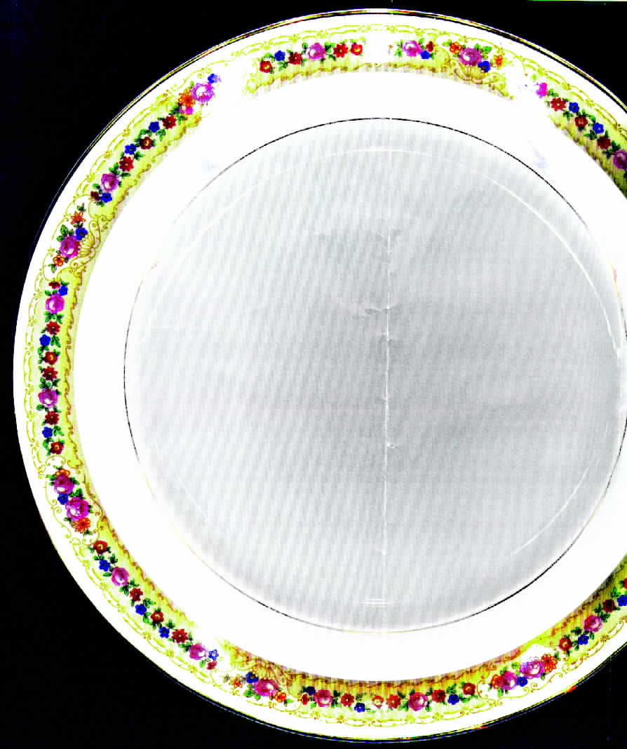 CEB31 Dinner Plate by Celebrate-1