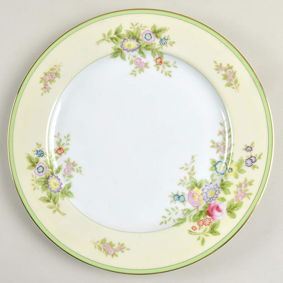 CEB32 Dinner Plate by Celebrate-1