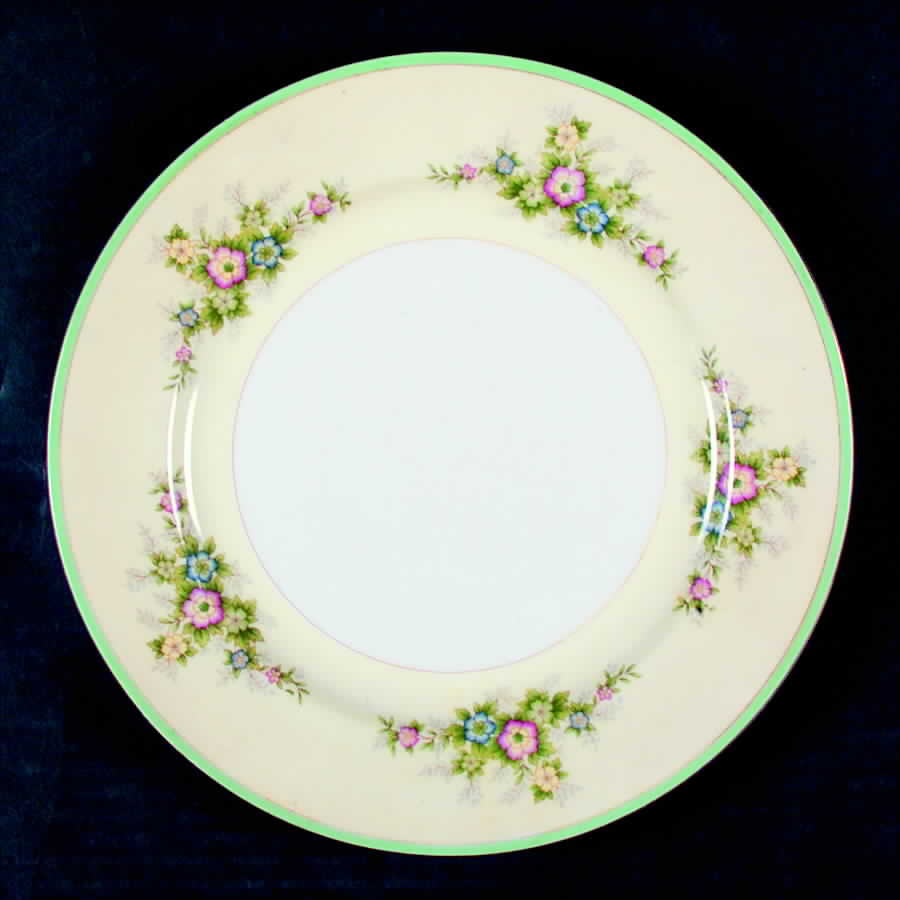 CEB33 Dinner Plate by Celebrate-1