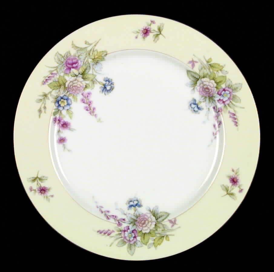CEB4 Dinner Plate by Celebrate-1