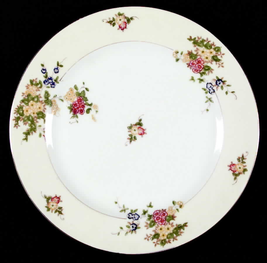 CEB6 Dinner Plate by Celebrate-1