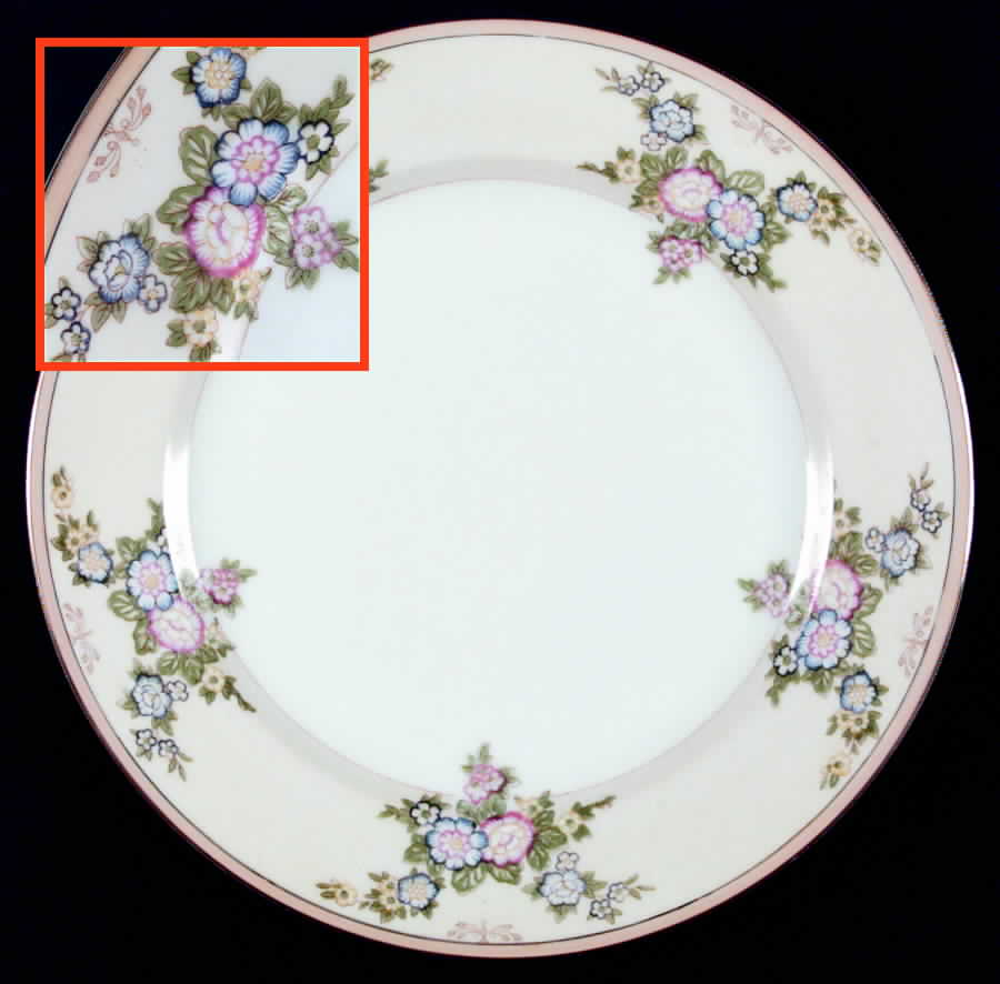 CEB7 Dinner Plate by Celebrate-1