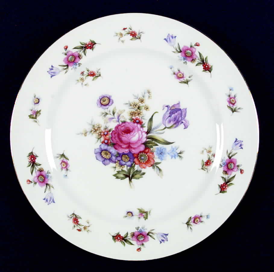 Dresden Dinner Plate by Celebrate-1