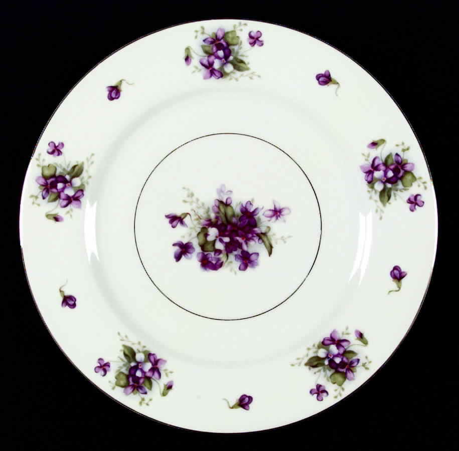 Glenaire Dinner Plate by Celebrate-1