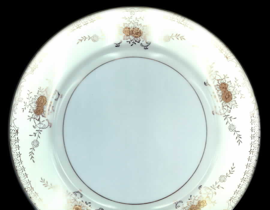 Golden Glow Dinner Plate by Celebrate-1