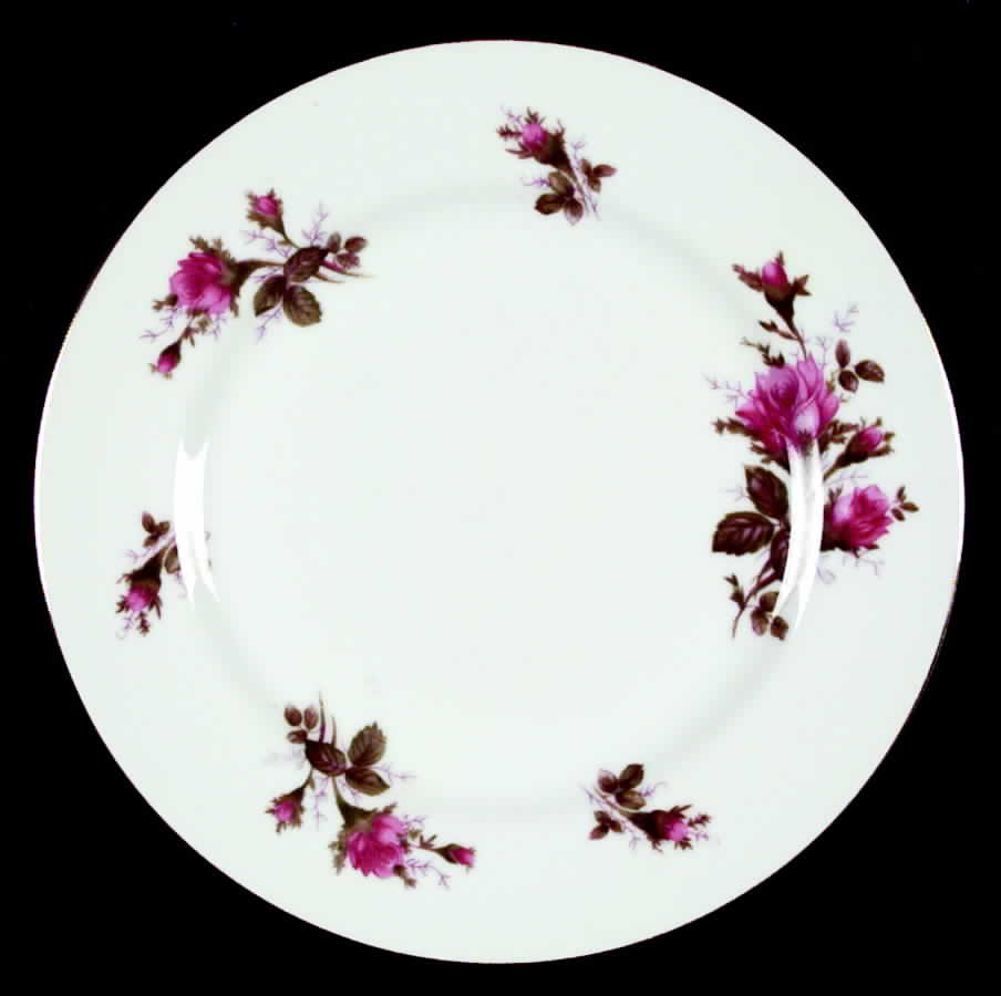 Moss Rose Dinner Plate by Celebrate-1