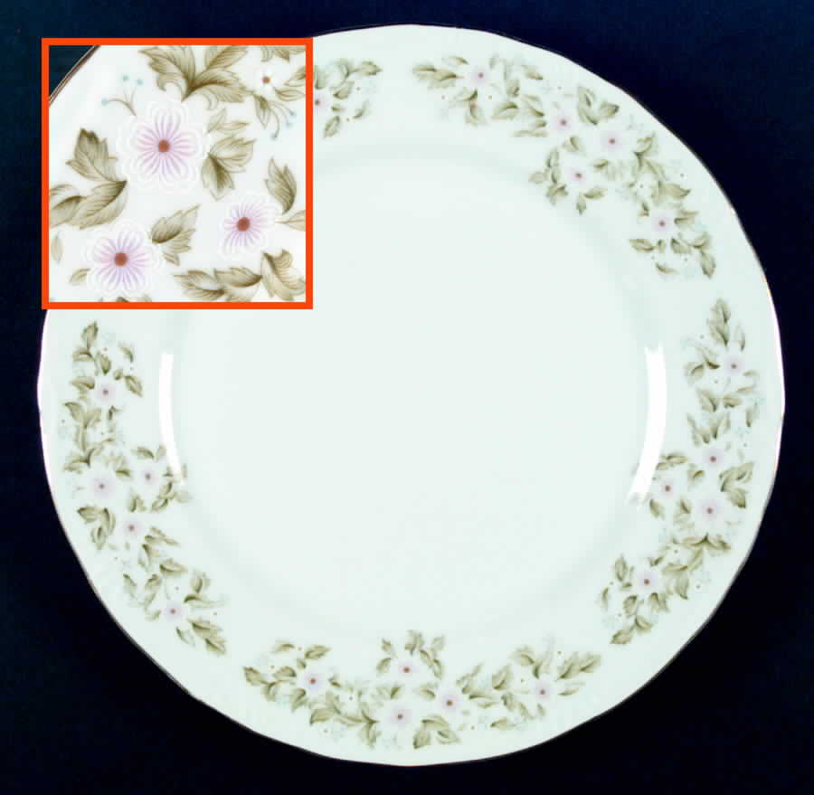 Cottilion Dinner Plate by Ceramic Guild-1