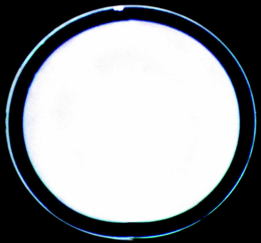 CEN3 Dinner Plate by Century China-1