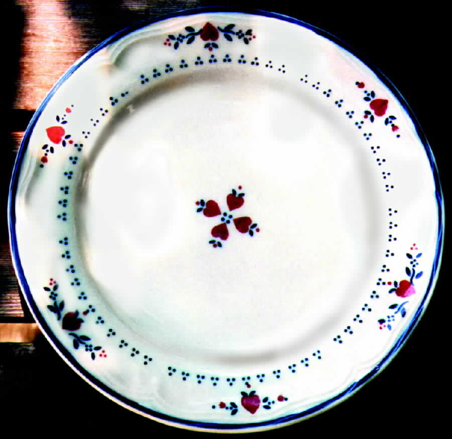 CEN4 Dinner Plate by Century China-1