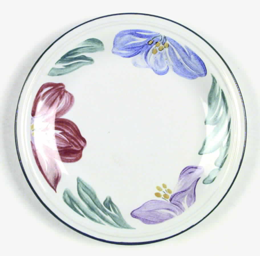 Santa Barbara Salad Plate by Century China-1