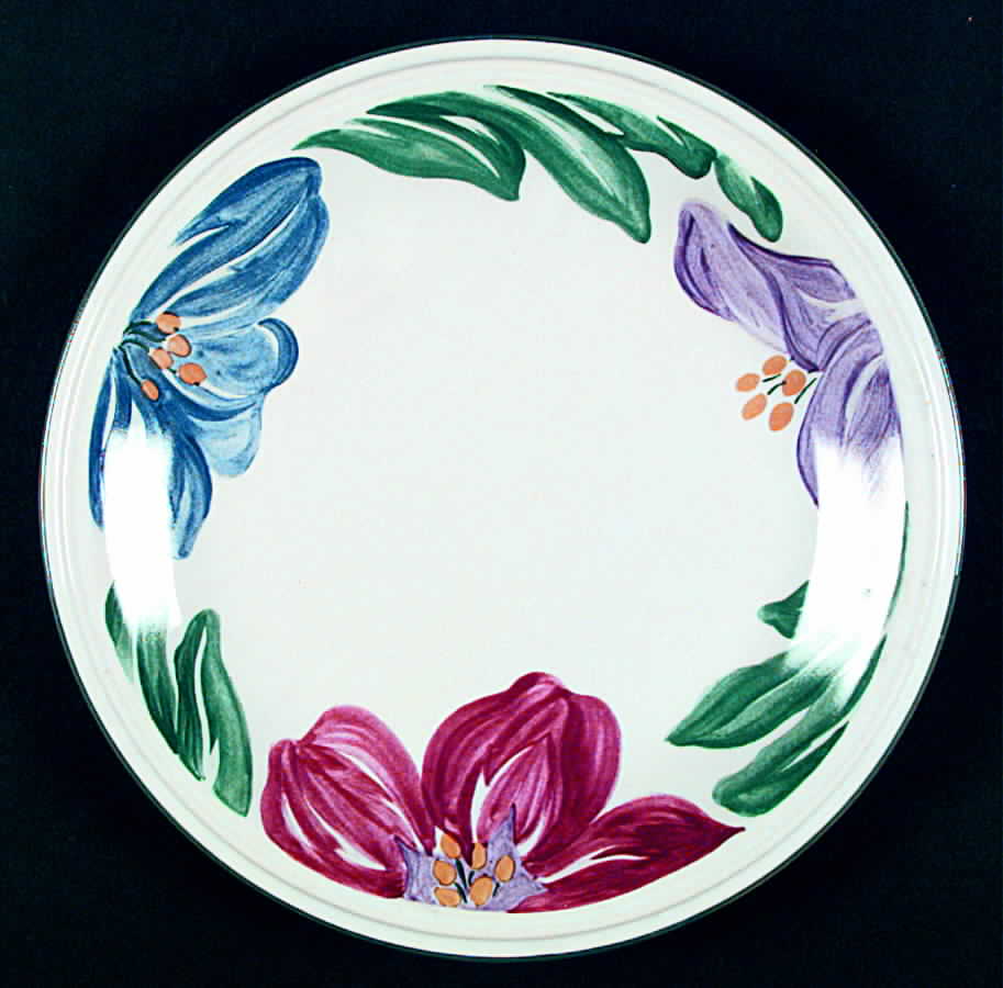 Santa Barbara Dinner Plate by Century China-1