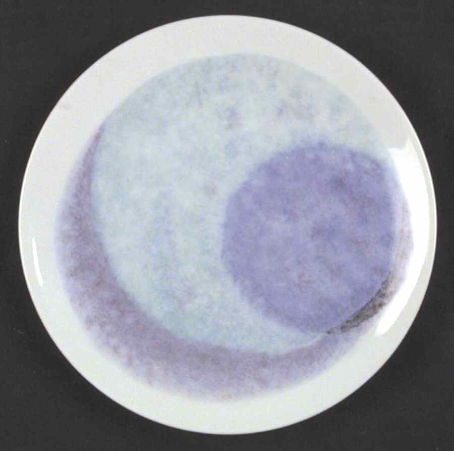 CER7 Salad Plate by Ceralene-1