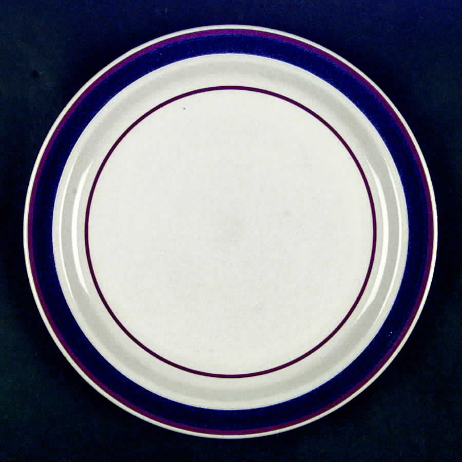 Linear Expressions Dinner Plate by Continental Gourmet-1