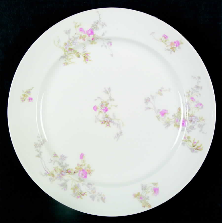 CHF101 Dinner Plate by Charles Field Haviland-1
