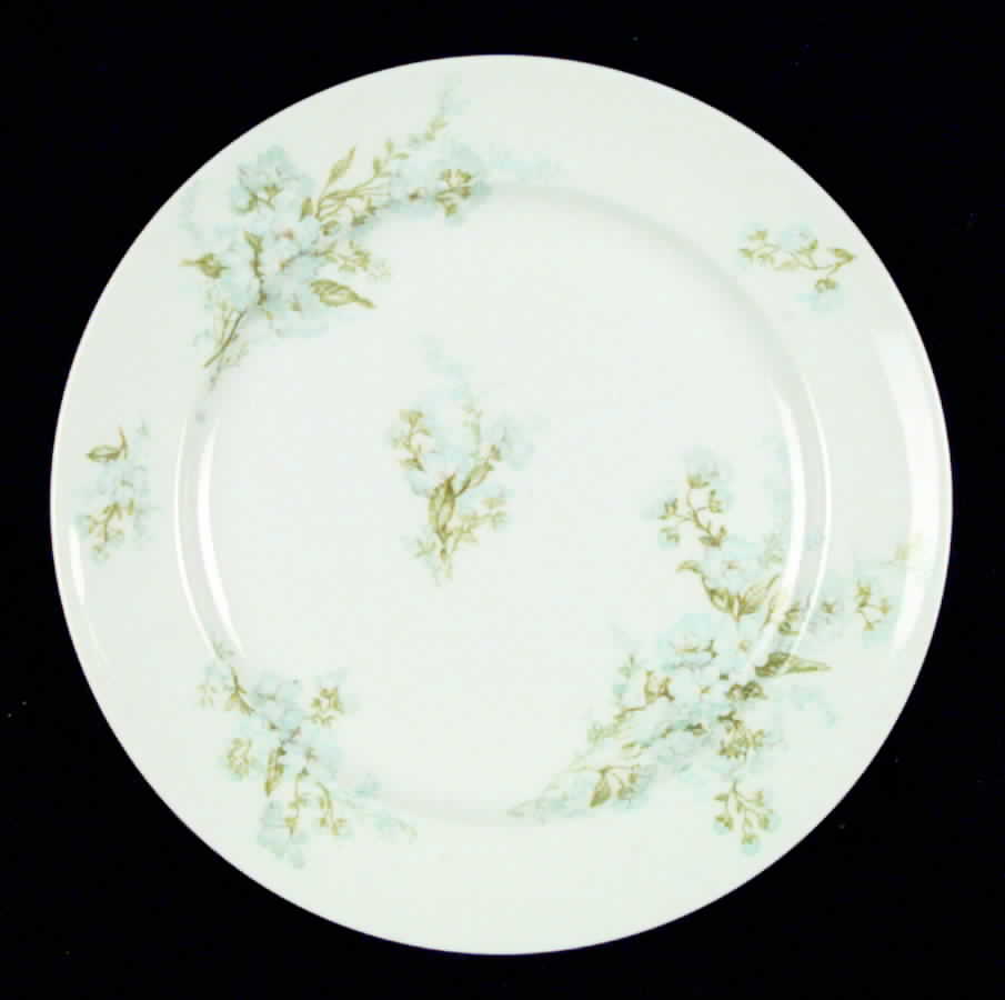 CHF116 Salad Plate by Charles Field Haviland-1