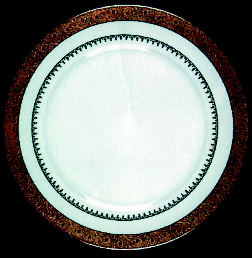 CHF119 Dinner Plate by Charles Field Haviland-1