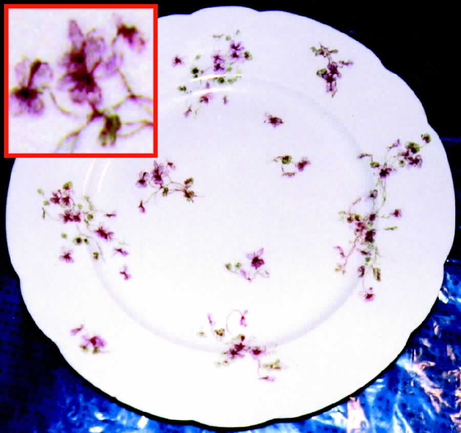 CHF123 Dinner Plate by Charles Field Haviland-1