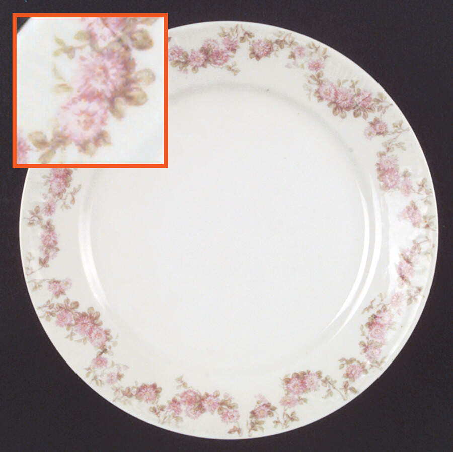 Schleiger 195-4 Dinner Plate by Charles Field Haviland-1